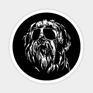 Funny Proud Bearded Collie sunglasses cool dog Magnet